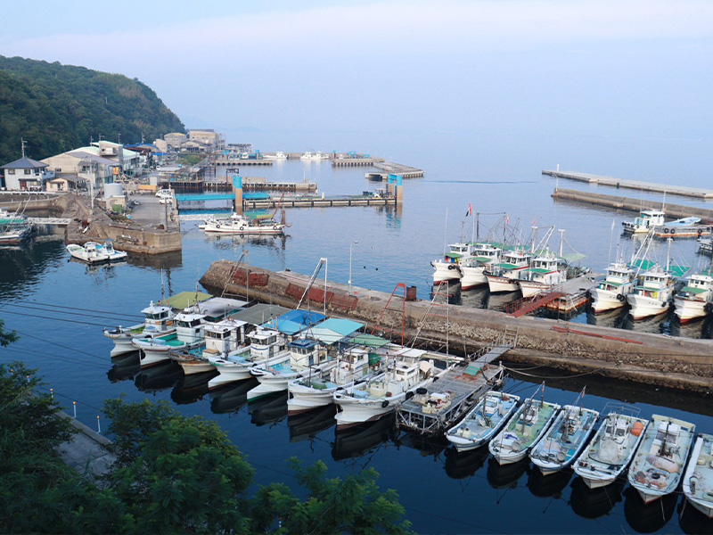 Photo Artist TANIの出張撮影